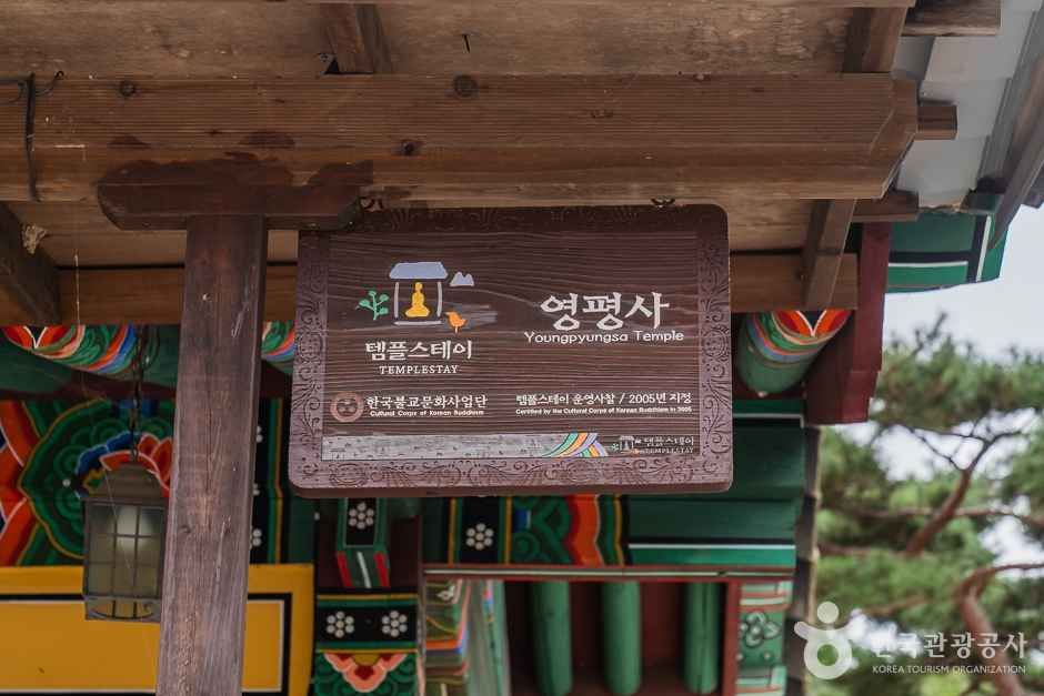 영평사 여행 추천 - 메고지고 영평사 여행 추천 - 메고지고