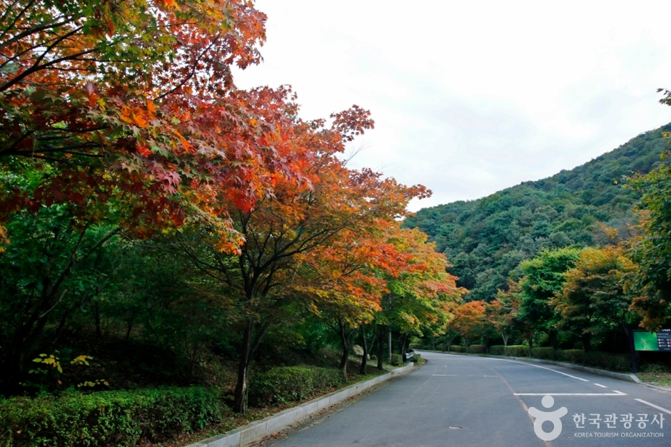 수락계곡 여행 추천 - 메고지고