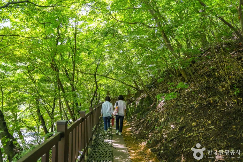 세천유원지 여행 추천 - 메고지고 세천유원지 여행 추천 - 메고지고
