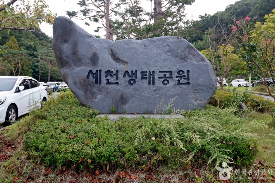 세천공원 여행 추천 - 메고지고 세천공원 여행 추천 - 메고지고