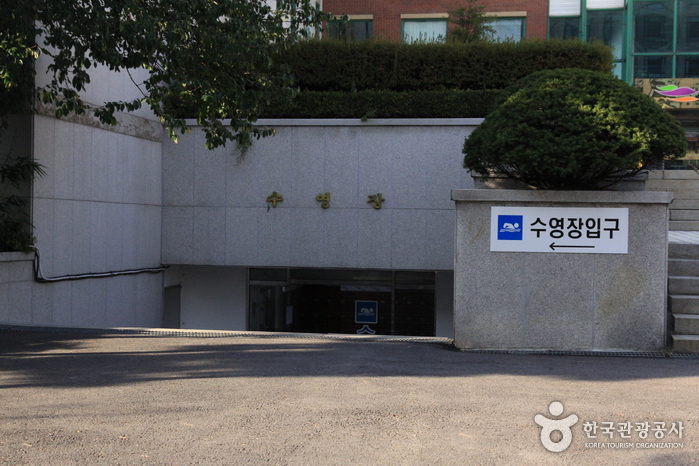 여성문화회관 수영장(실내) 여행 추천 - 메고지고 여성문화회관 수영장(실내) 여행 추천 - 메고지고
