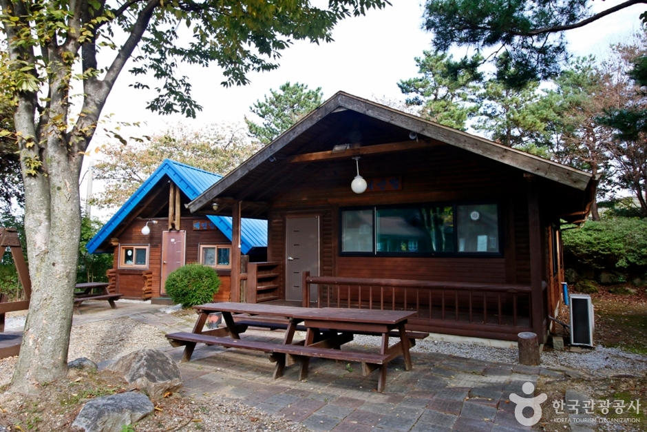 대둔산자연휴양림 여행 추천 - 메고지고