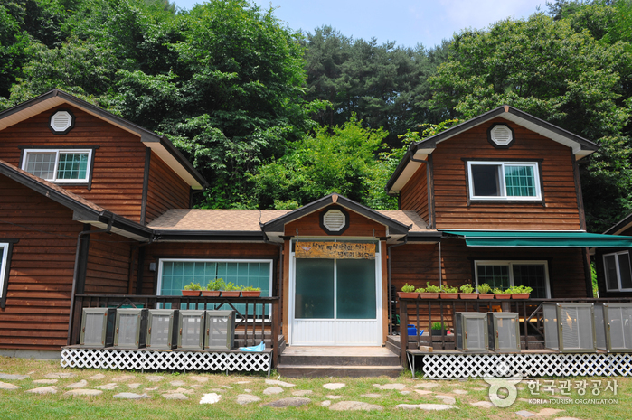 홀로세 생태학교 여행 추천 - 메고지고 홀로세 생태학교 여행 추천 - 메고지고