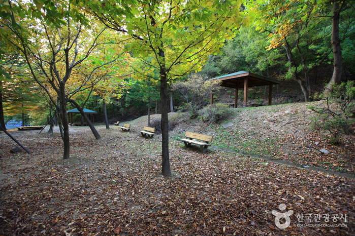 천안시 태조산청소년수련관 여행 추천 - 메고지고