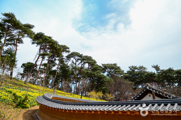 [서산 아라메길] 천년미소길 여행 추천 - 메고지고