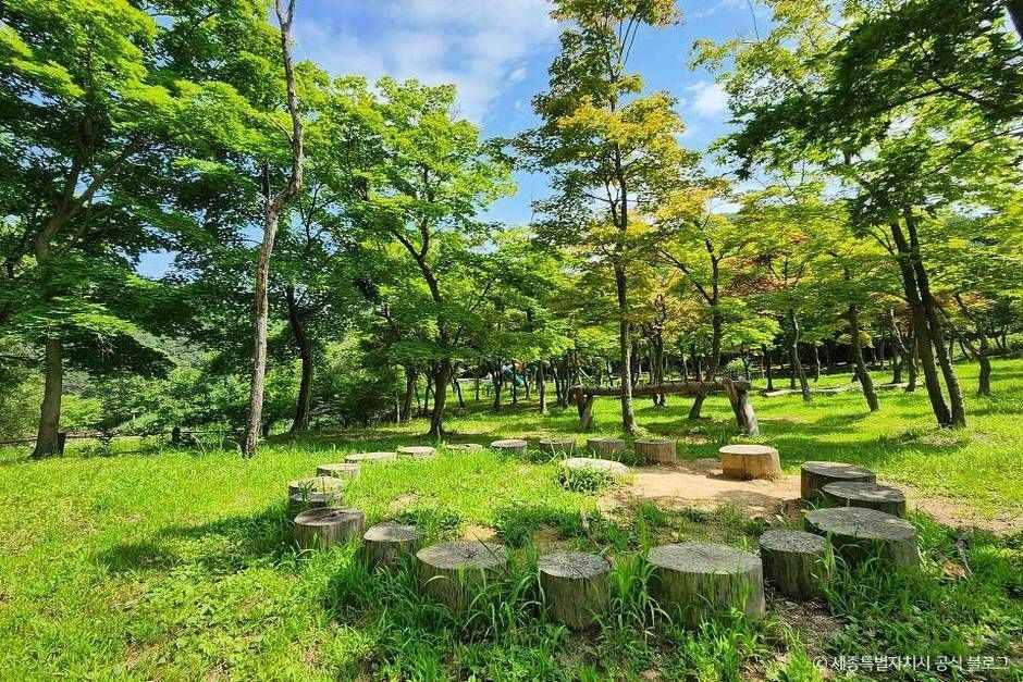 달메뜰근린공원 여행 추천 - 메고지고 달메뜰근린공원 여행 추천 - 메고지고