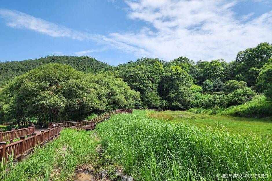 달메뜰근린공원 여행 추천 - 메고지고 달메뜰근린공원 여행 추천 - 메고지고