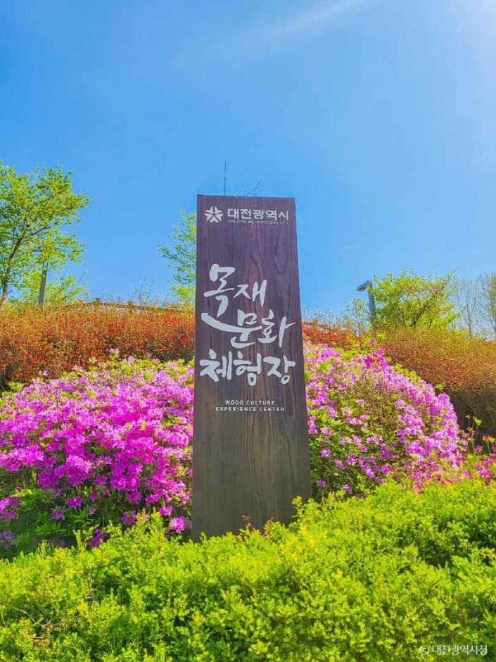 대전목재문화체험장 여행 추천 - 메고지고 대전목재문화체험장 여행 추천 - 메고지고