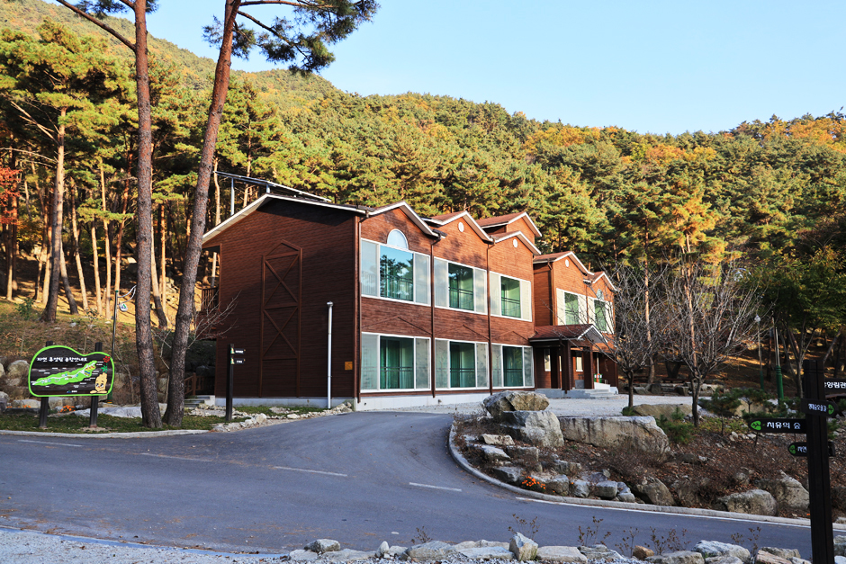 대봉산자연휴양림 여행 추천 - 메고지고 대봉산자연휴양림 여행 추천 - 메고지고