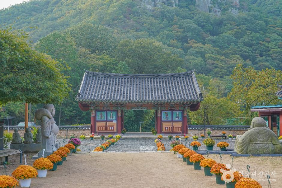 장안사(부산) 여행 추천 - 메고지고 장안사(부산) 여행 추천 - 메고지고