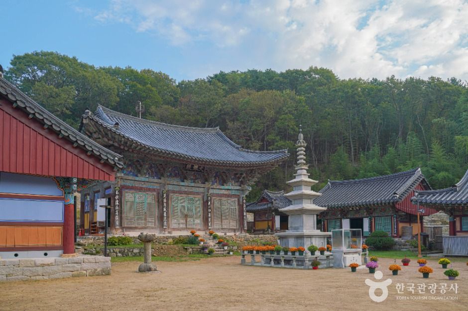 장안사(부산) 여행 추천 - 메고지고 장안사(부산) 여행 추천 - 메고지고