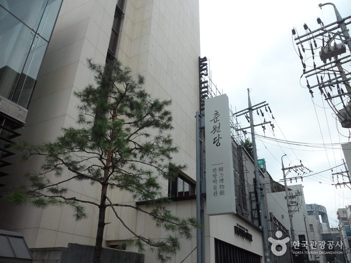 춘원당한의약박물관 여행 추천 - 메고지고