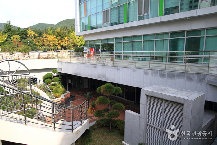 부산 해운대도서관 여행 추천 - 메고지고