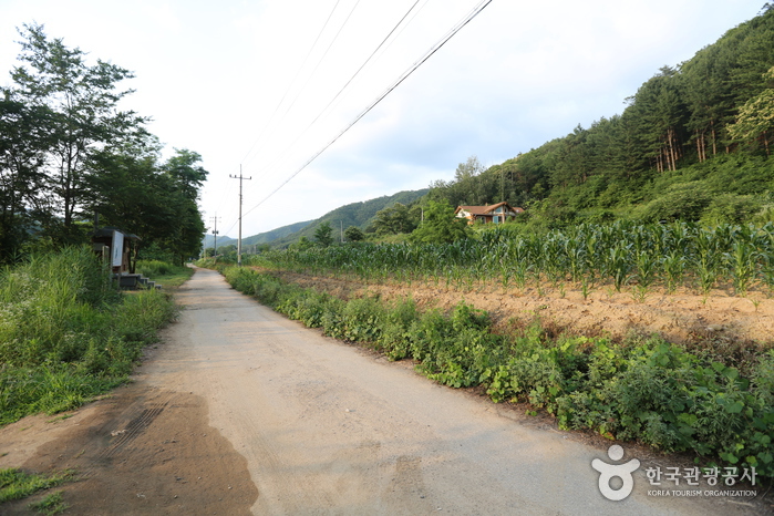 남노일 강변 여행 추천 - 메고지고 남노일 강변 여행 추천 - 메고지고