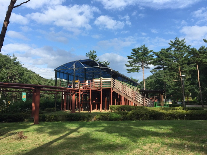솔향공원 스카이바이크 여행 추천 - 메고지고