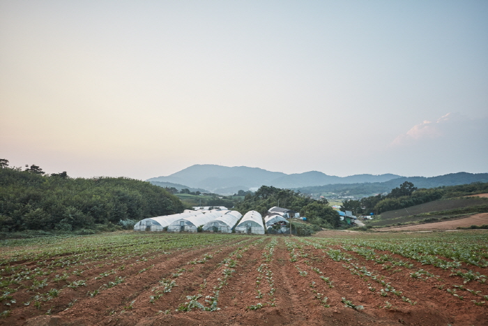 홍성 하누리마을 여행 추천 - 메고지고 홍성 하누리마을 여행 추천 - 메고지고