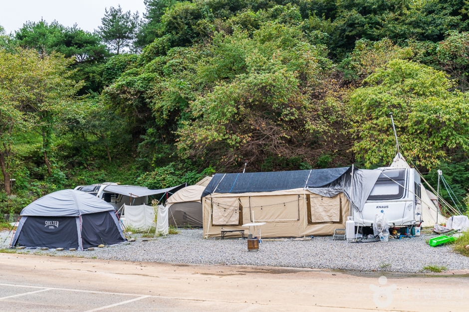 이안숲속 여행 추천 - 메고지고 이안숲속 여행 추천 - 메고지고