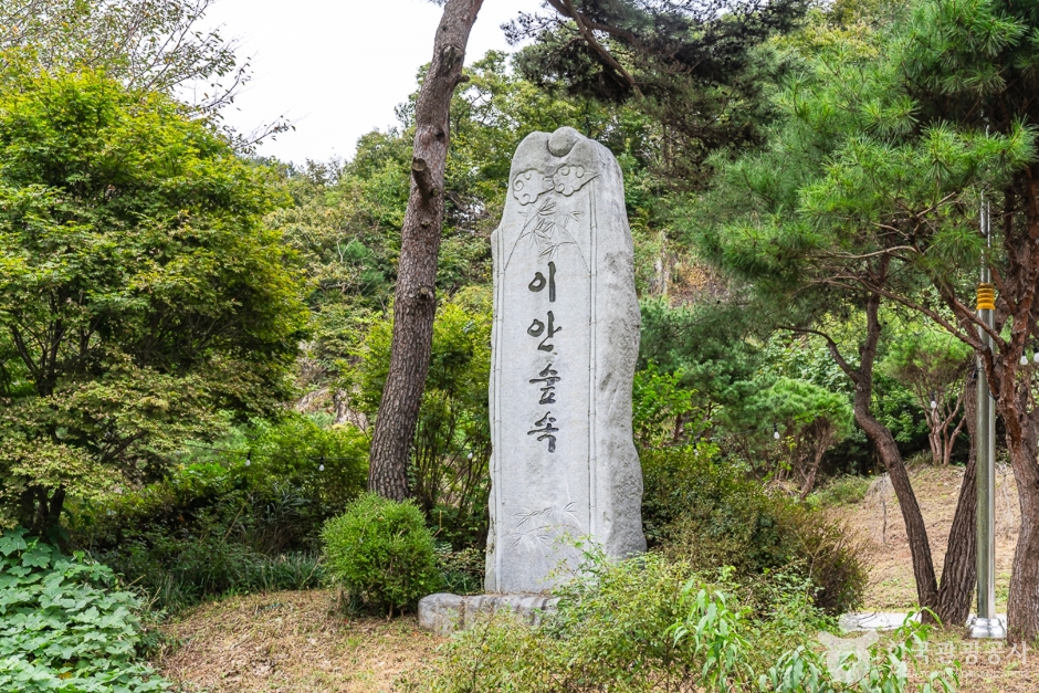 이안숲속 여행 추천 - 메고지고 이안숲속 여행 추천 - 메고지고