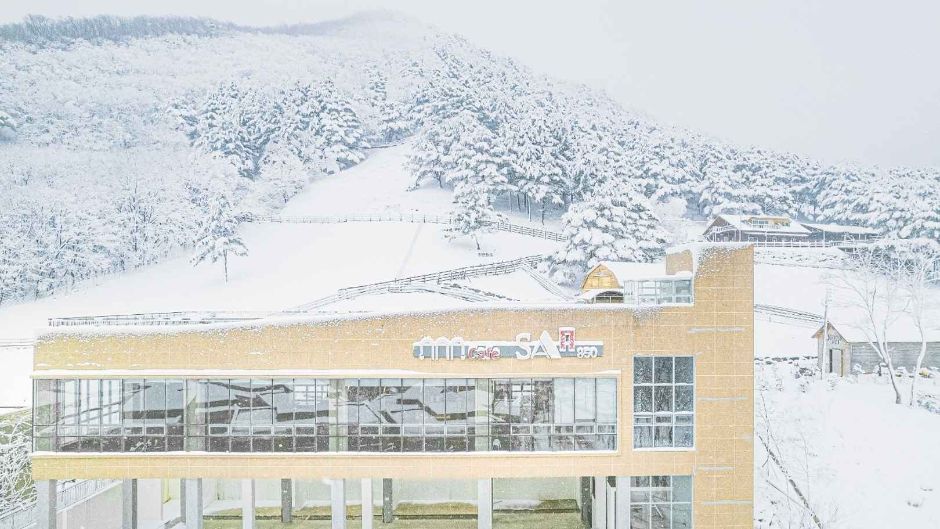 순수 양떼목장 여행 추천 - 메고지고 순수 양떼목장 여행 추천 - 메고지고