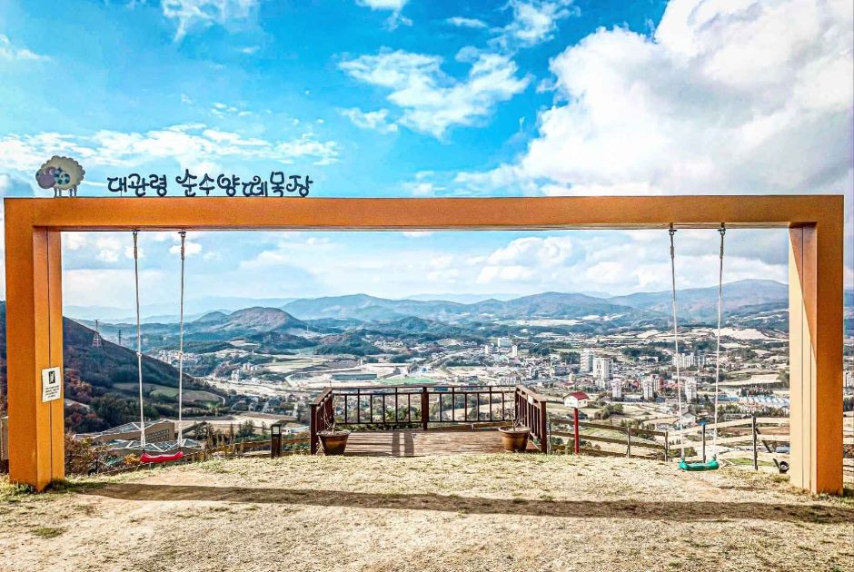 순수 양떼목장 여행 추천 - 메고지고 순수 양떼목장 여행 추천 - 메고지고
