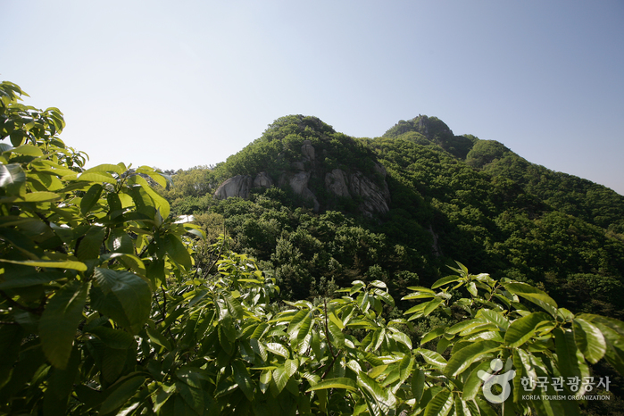 팔봉산(서산) 여행 추천 - 메고지고 팔봉산(서산) 여행 추천 - 메고지고