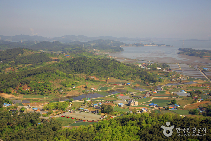팔봉산(서산) 여행 추천 - 메고지고 팔봉산(서산) 여행 추천 - 메고지고