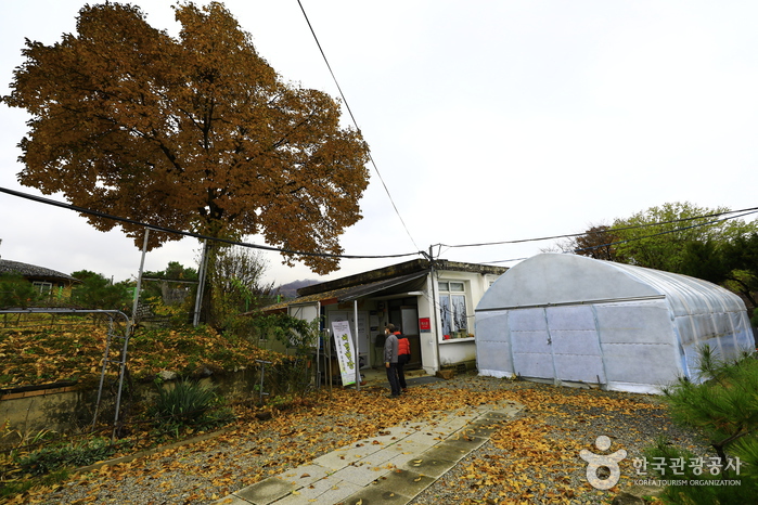 한얼문예박물관 여행 추천 - 메고지고 한얼문예박물관 여행 추천 - 메고지고