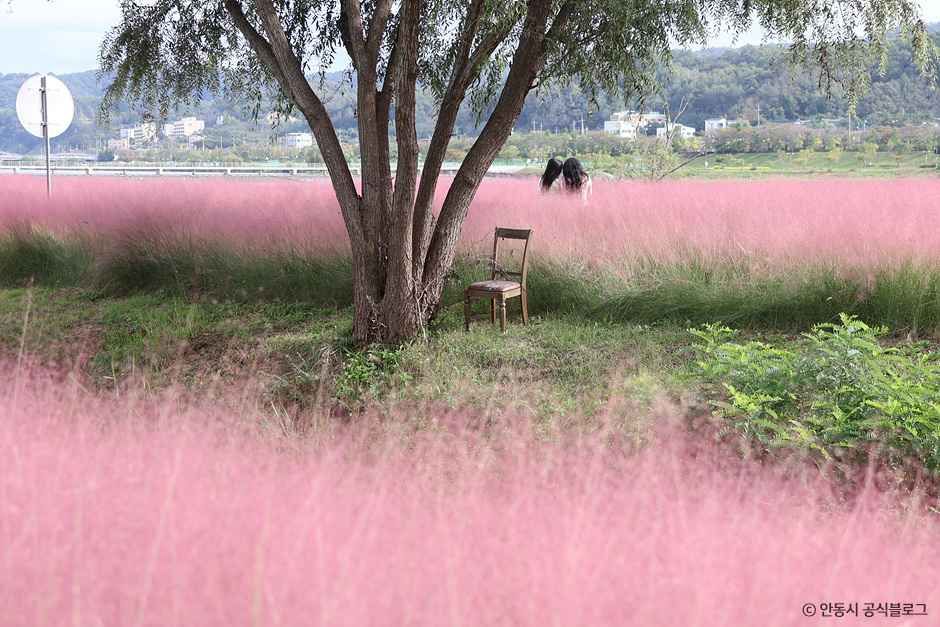 그라스원 여행 추천 - 메고지고 그라스원 여행 추천 - 메고지고