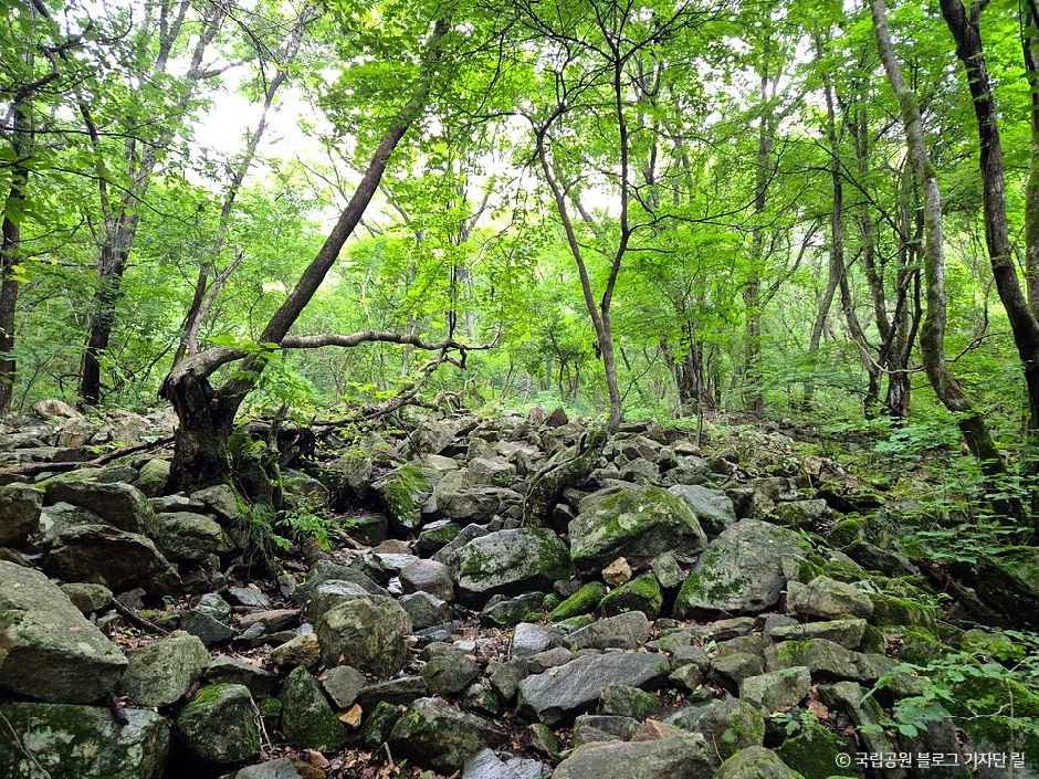 금수산 여행 추천 - 메고지고