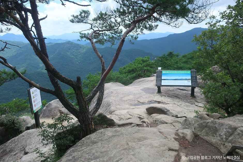 칠보산(괴산) 여행 추천 - 메고지고 칠보산(괴산) 여행 추천 - 메고지고