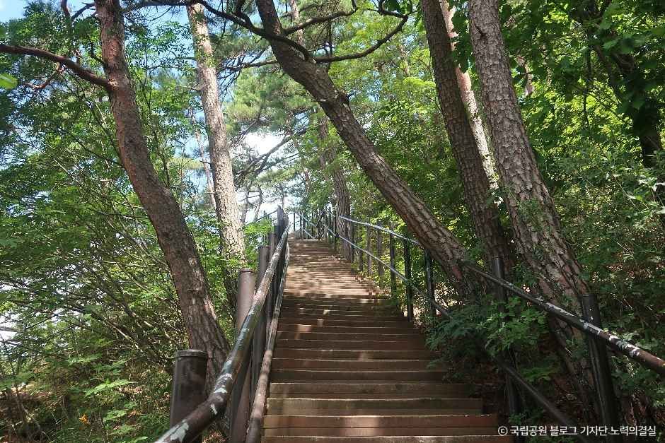 칠보산(괴산) 여행 추천 - 메고지고 칠보산(괴산) 여행 추천 - 메고지고
