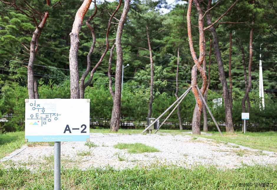 영주호오토캠핑장 여행 추천 - 메고지고 영주호오토캠핑장 여행 추천 - 메고지고