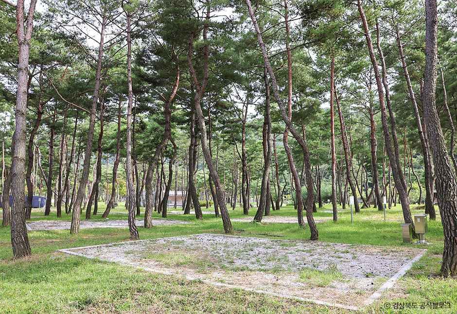영주호오토캠핑장 여행 추천 - 메고지고 영주호오토캠핑장 여행 추천 - 메고지고