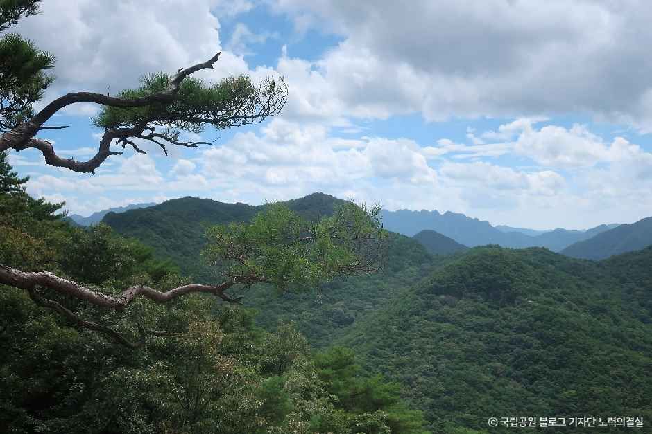 도명산 여행 추천 - 메고지고 도명산 여행 추천 - 메고지고