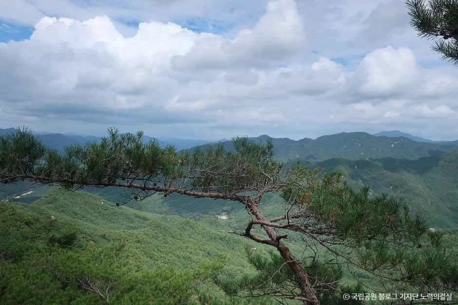 도명산 여행 추천 - 메고지고 도명산 여행 추천 - 메고지고