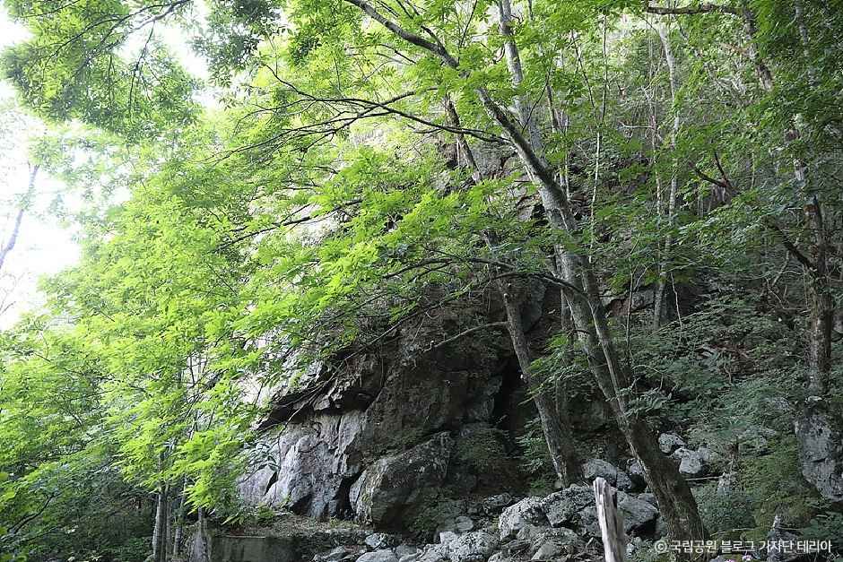 지리산국립공원(함양) 여행 추천 - 메고지고 지리산국립공원(함양) 여행 추천 - 메고지고