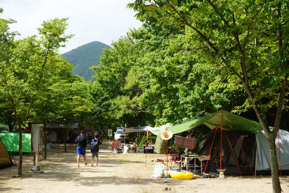 운문산군립공원 여행 추천 - 메고지고