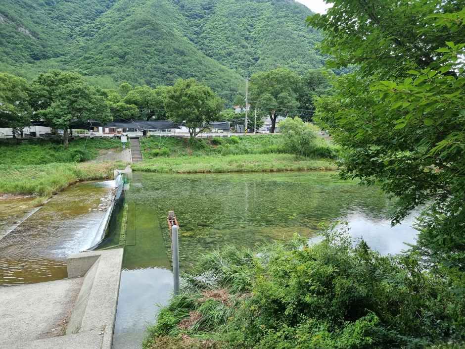운문산군립공원 여행 추천 - 메고지고