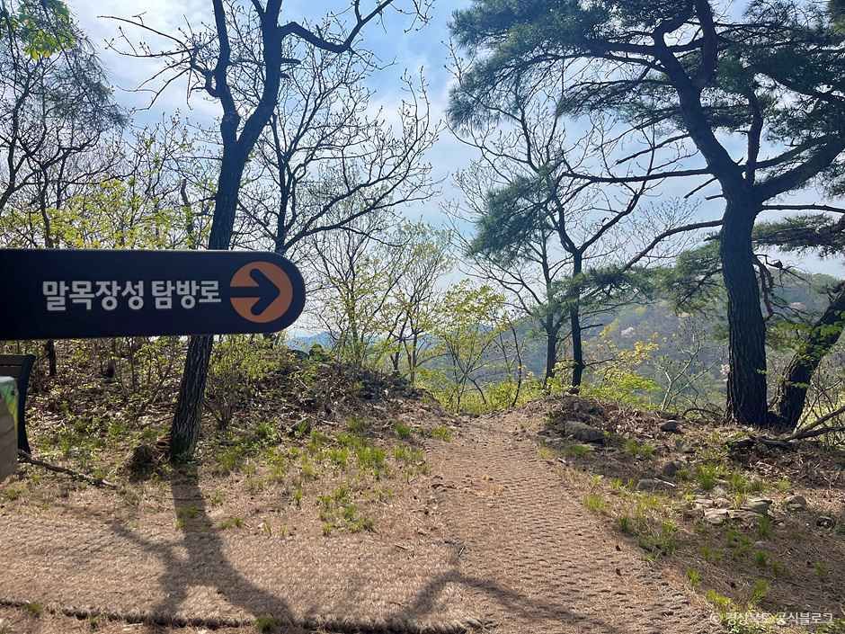 구룡포 말목장성탐방로 여행 추천 - 메고지고 구룡포 말목장성탐방로 여행 추천 - 메고지고
