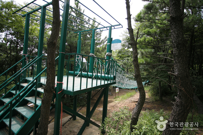 부산광역시 금련산청소년수련원 여행 추천 - 메고지고 부산광역시 금련산청소년수련원 여행 추천 - 메고지고