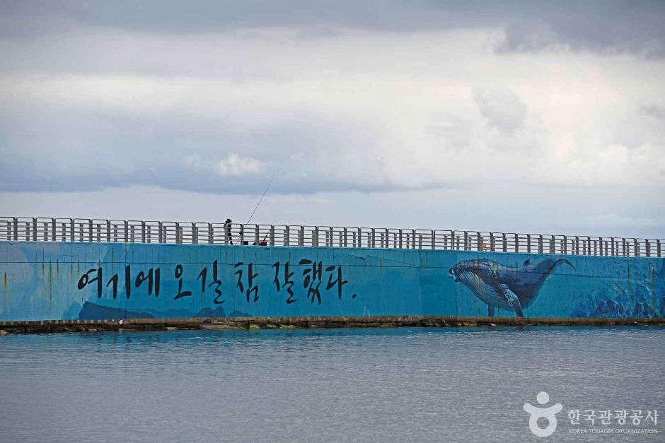 장사항 여행 추천 - 메고지고