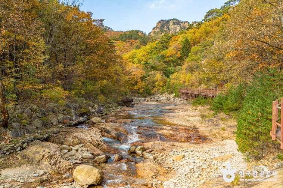 설악산 오색주전골 여행 추천 - 메고지고 설악산 오색주전골 여행 추천 - 메고지고