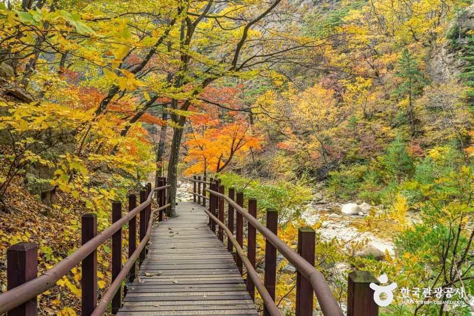 설악산 오색주전골 여행 추천 - 메고지고 설악산 오색주전골 여행 추천 - 메고지고