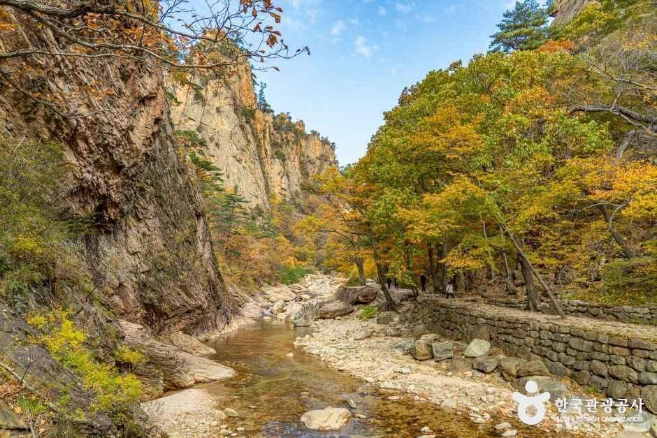 설악산 오색주전골 여행 추천 - 메고지고 설악산 오색주전골 여행 추천 - 메고지고