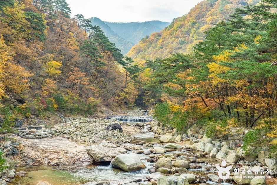 설악산 오색주전골 여행 추천 - 메고지고 설악산 오색주전골 여행 추천 - 메고지고