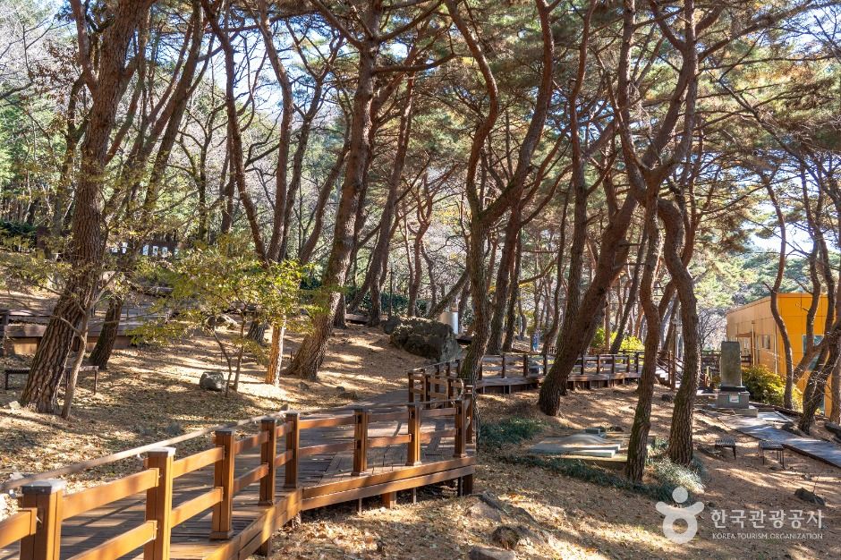 장복산조각공원 여행 추천 - 메고지고