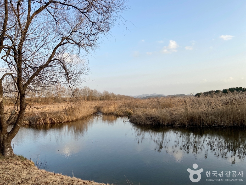 안산갈대습지공원 여행 추천 - 메고지고 안산갈대습지공원 여행 추천 - 메고지고