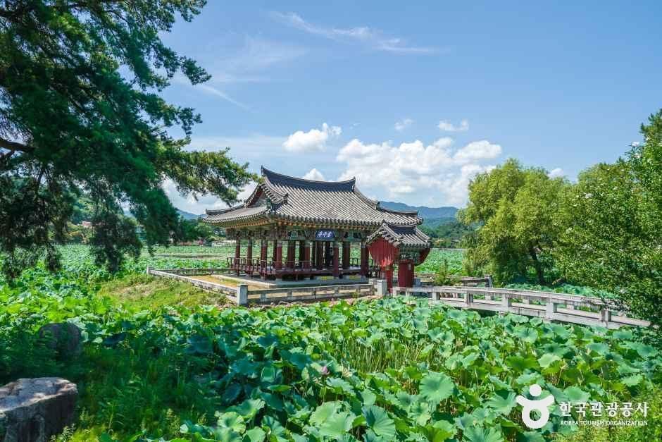 유등연지 여행 추천 - 메고지고