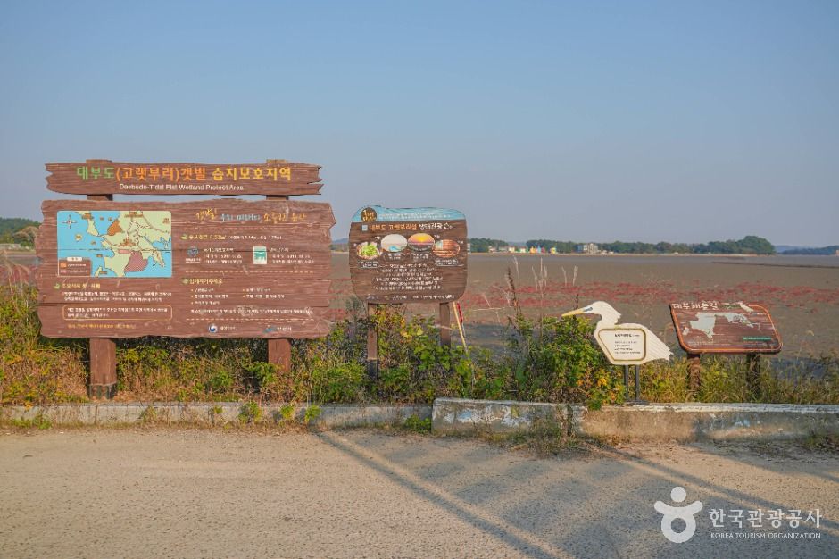 해뜨는 대부도 고랫부리 여행 추천 - 메고지고 해뜨는 대부도 고랫부리 여행 추천 - 메고지고