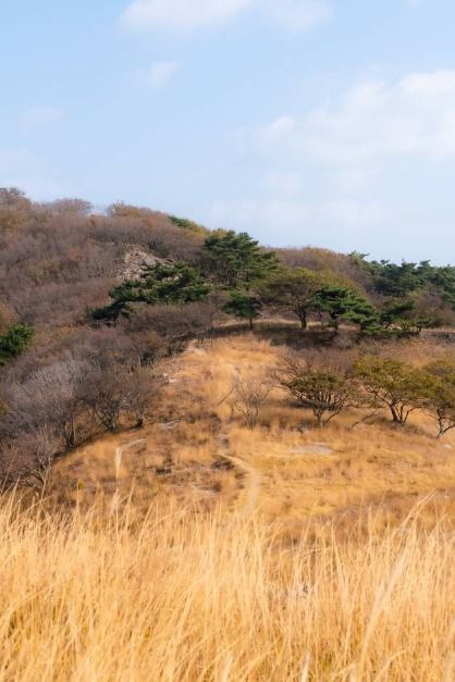 굴업도 여행 추천 - 메고지고 굴업도 여행 추천 - 메고지고